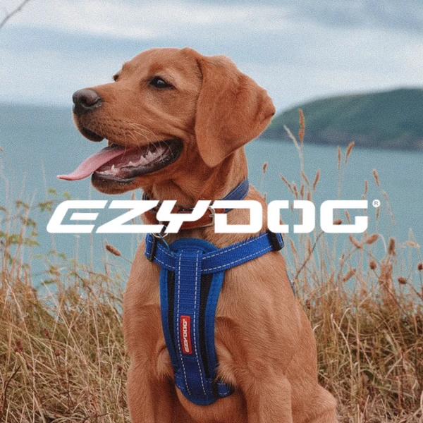 EzyDog